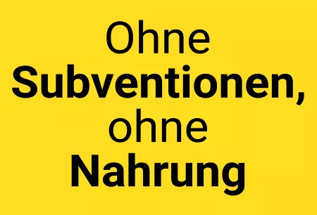 Hinweis Bauernprotest - Demo Schilder - Ohne Subventionen, Bild