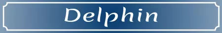 Hinweis Delphin Bild