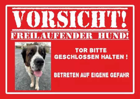 Hinweis !!! Fluchtweg !!! Bild