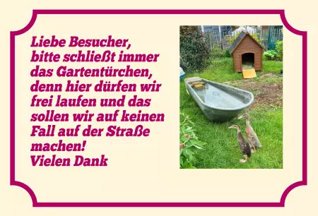 Hinweis Gartentürchen schließen! Bild
