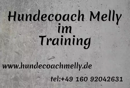 Hinweis Hundecoach Melly im Training Bild