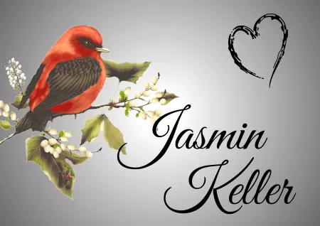 Hinweis Jasmin Keller Bild