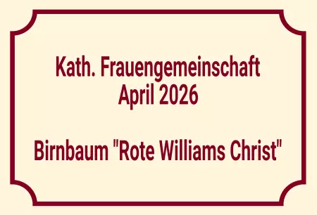  Hinweis Kath. Frauengemeinschaft Bild