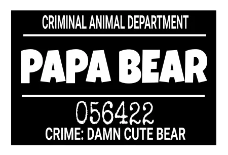 Hinweis PAPA BEAR Bild