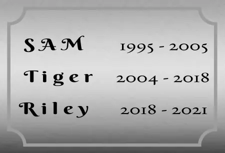 Hinweis SAM, Tiger, Riley Bild