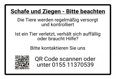 Hinweis Schafe und Ziegen Bild