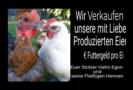 Hinweis Wir verkaufen unsere mit Liebe produzierten Eier Bild